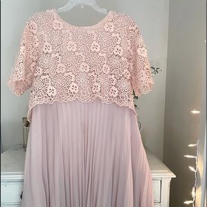 Anthro x Moulinette Pink Lace and Pleated Dress